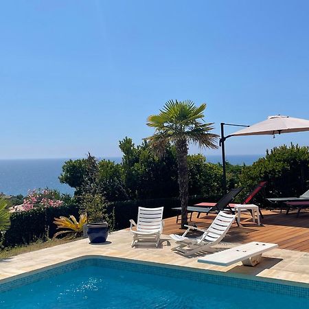 Villa Thamyris Porticcio Ajaccio Corse Grosseto-Prugna Eksteriør billede